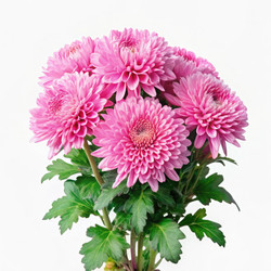 Similar image 22740779
