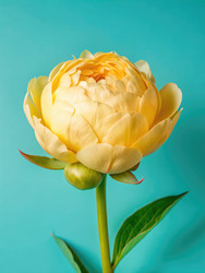 Similar image 22740855