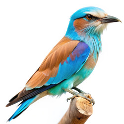 Similar image 22740333