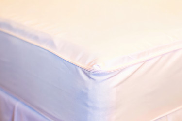 Similar image 22739960
