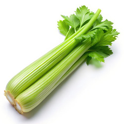 Similar image 22740426