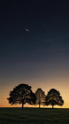 Similar image 22732173
