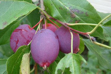 Similar image 22738043