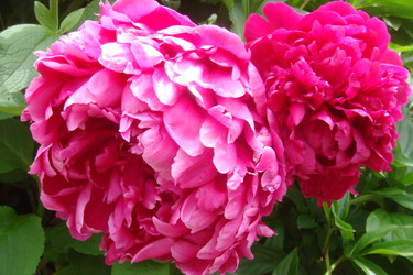 Similar image 22738045