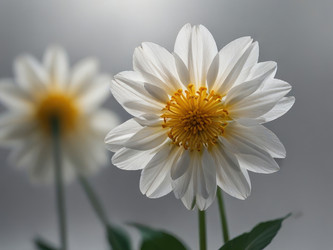 Similar image 22730792