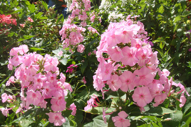 Similar image 22737868
