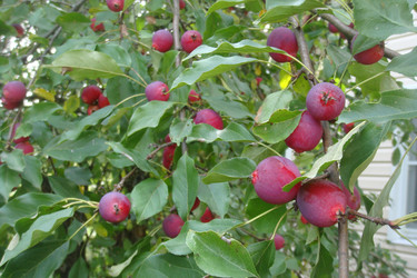 Similar image 22737882