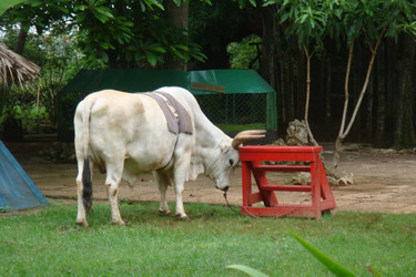 Similar image 22738060