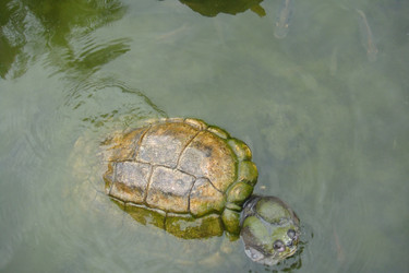 Similar image 22738070