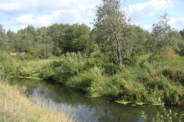 Similar image 22737883