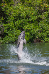 Similar image 22747056