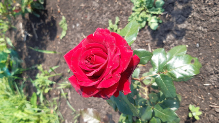 Similar image 22735030
