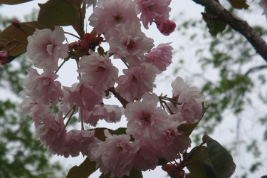 Similar image 22737912