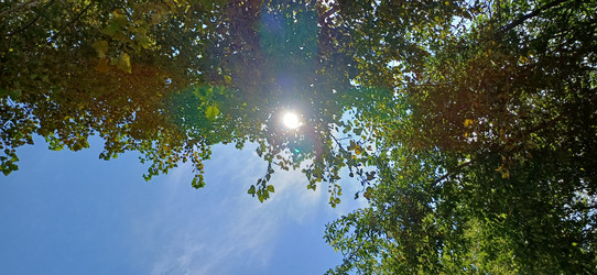 Similar image 22735009