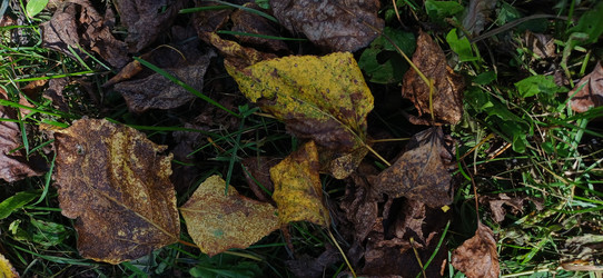 Similar image 22735011