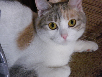 Similar image 22735034