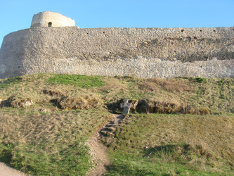 Similar image 22737869