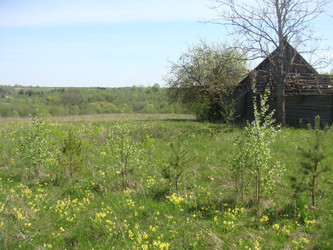 Similar image 22737984