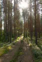Similar image 22736148