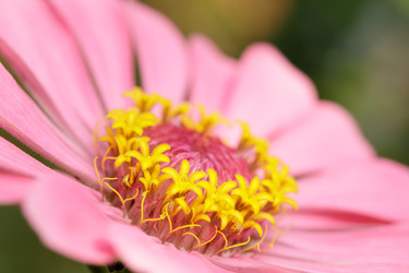 Similar image 22736150