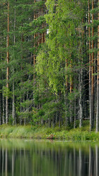 Similar image 22736151