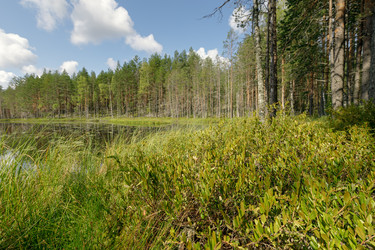 Similar image 22736153