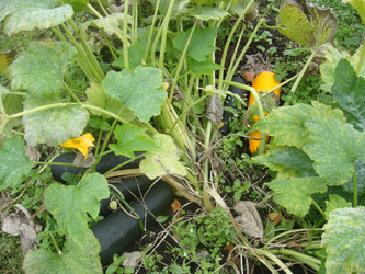 Similar image 22737822