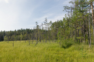 Similar image 22736154