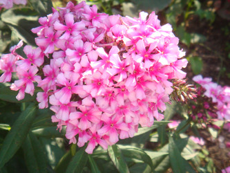 Similar image 22737823