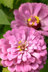 Similar image 22736178