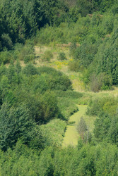 Similar image 22736179