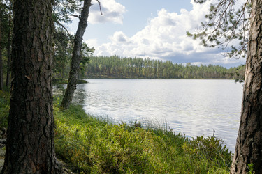 Similar image 22736184