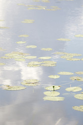 Similar image 22736212
