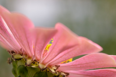 Similar image 22736225