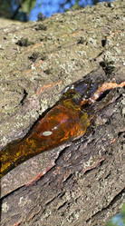 Similar image 22735084