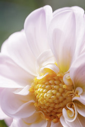 Similar image 22736229
