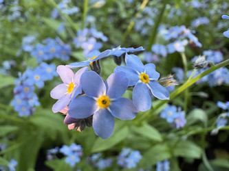 Similar image 22735091