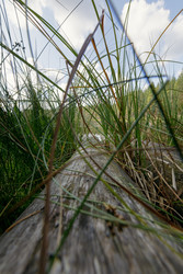 Similar image 22736255
