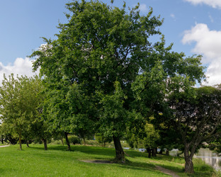 Similar image 22736272
