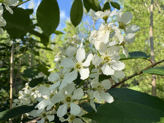 Similar image 22735094