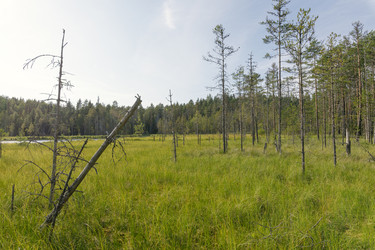 Similar image 22736286