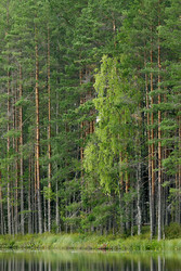 Similar image 22736289