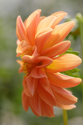 Similar image 22736301