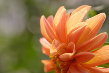 Similar image 22736314
