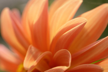 Similar image 22736319