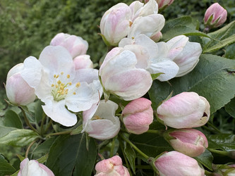 Similar image 22735098
