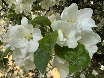 Similar image 22735100