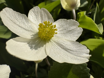 Similar image 22735101