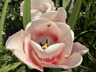 Similar image 22735102