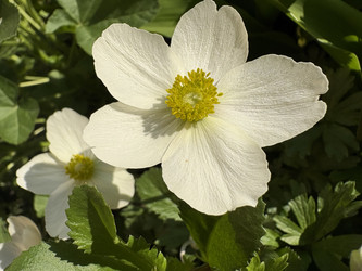 Similar image 22735103